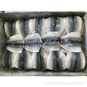 Kinesisk export frusen fisk makrillflikar fjäril makrill